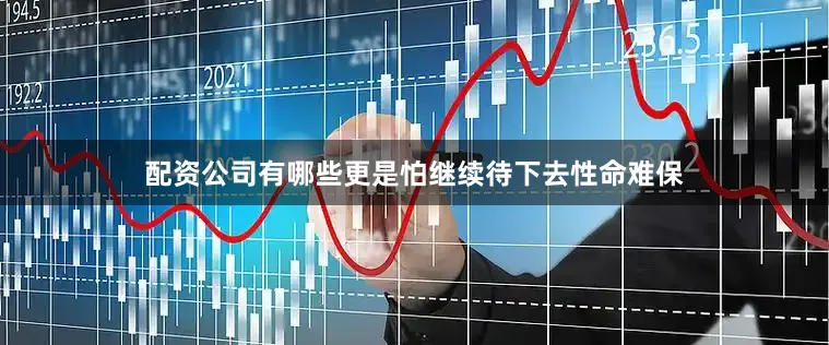 配资公司有哪些更是怕继续待下去性命难保