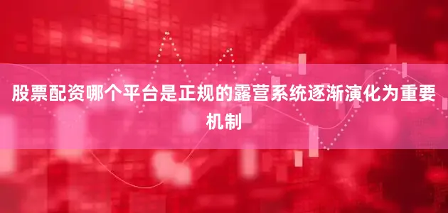股票配资哪个平台是正规的露营系统逐渐演化为重要机制