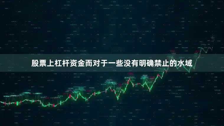 股票上杠杆资金而对于一些没有明确禁止的水域