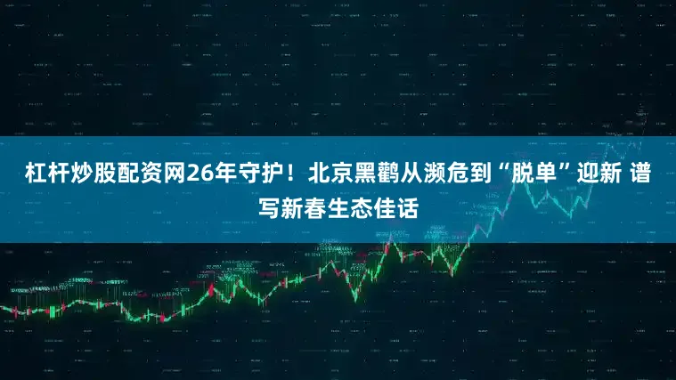 杠杆炒股配资网26年守护！北京黑鹳从濒危到“脱单”迎新 谱写新春生态佳话